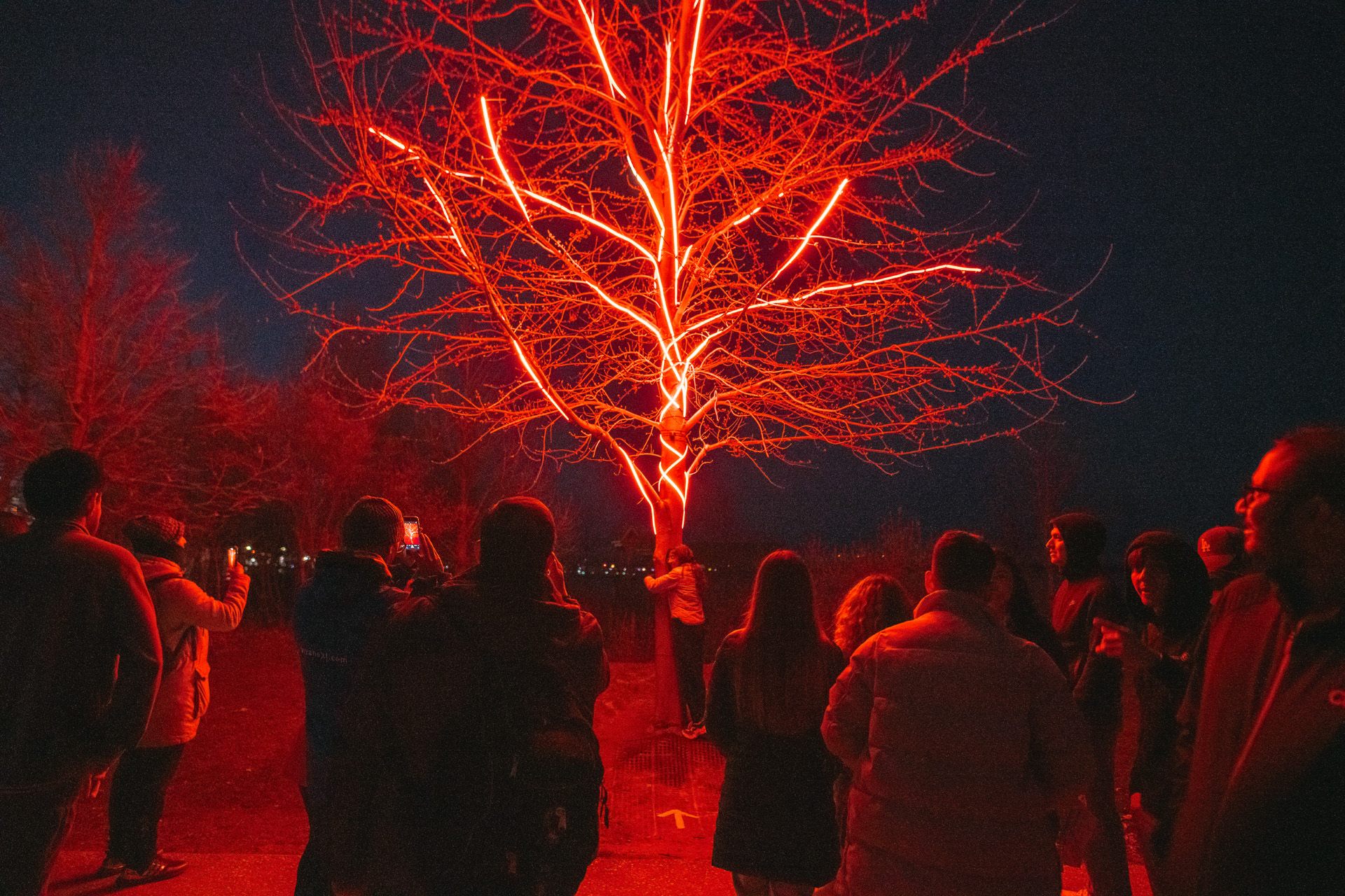 The tree glowing deep red at night, surrounded by a crowd of visitors.