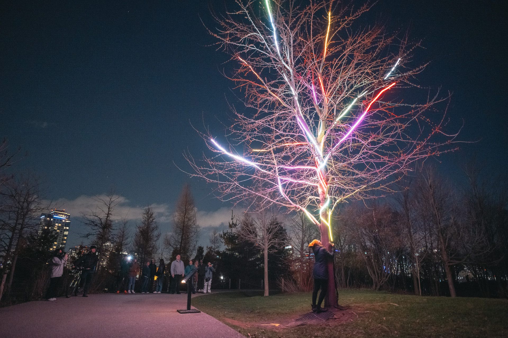 Two people embracing the trunk while the branches above light up in pink, green and yellow.
