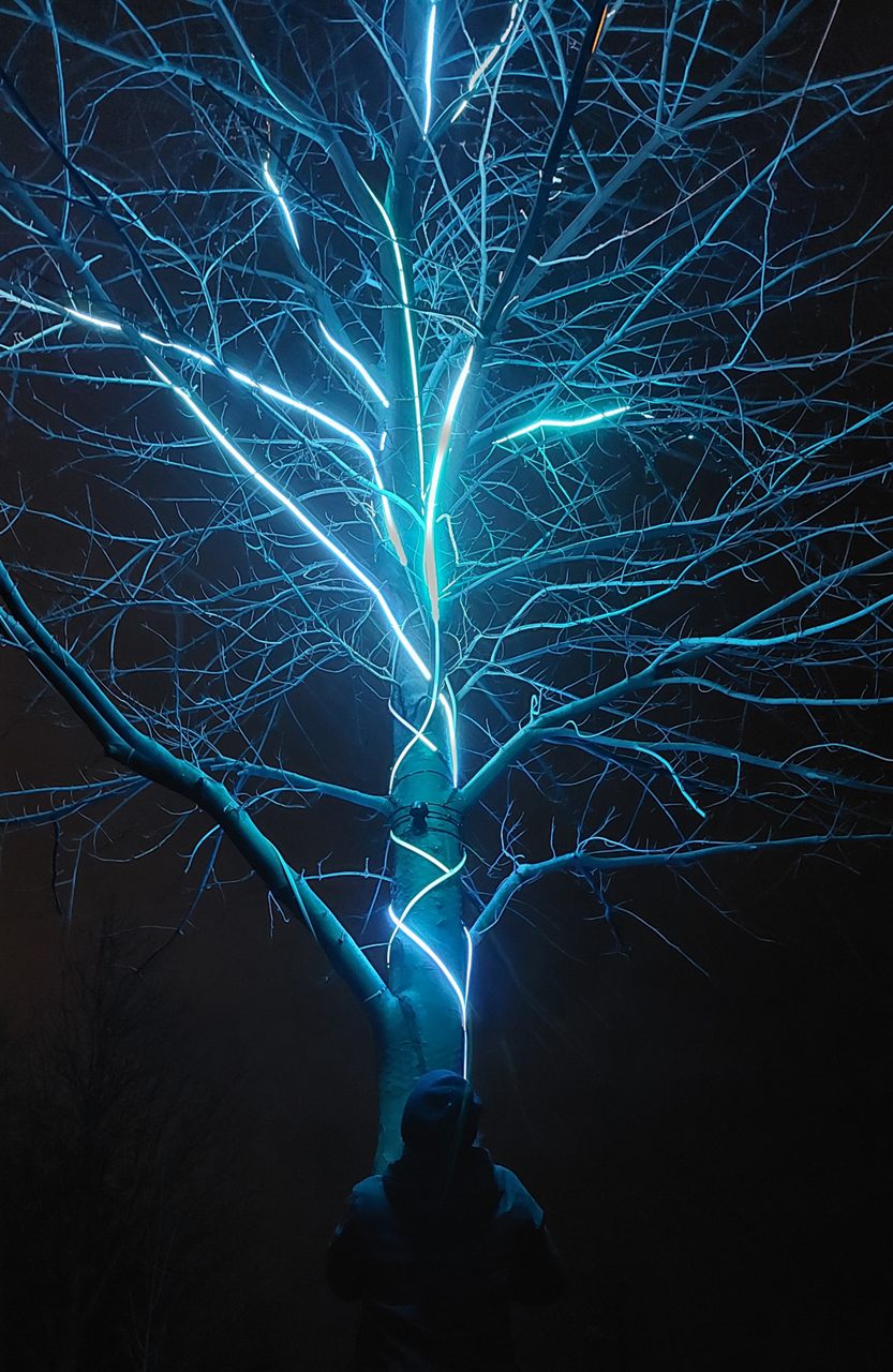 Tree Love - open the project page
